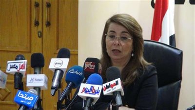 بروتوكول تعاون بين وزارة التضامن ومحافظ روتاري لإنشاء أول مستشفى عائم