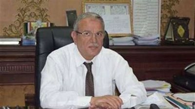 محافظ المنيا يتفقد اللجان الانتخابية بملوي