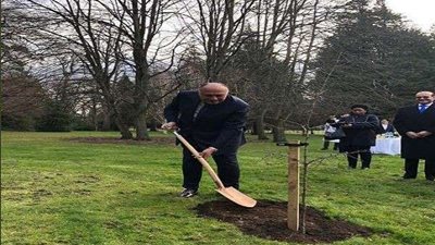 سامح شكري يزرع 