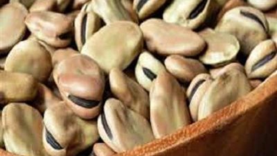 التموين: استيراد 100 ألف طن من محصول الفول باستراليا