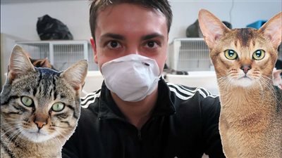 عقدة نفسية تتسبب فى تعذيب القطط والكلاب ببريطانيا