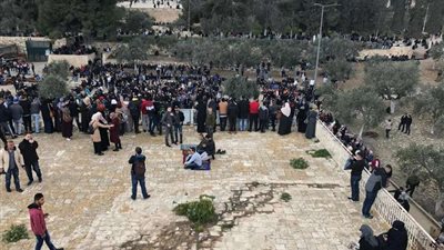 بالفيديو.. الفلسطينيون يجبرون الاحتلال على فتح 