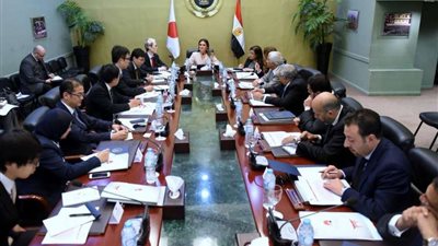 الهيئة العامة للاستثمار توافق على إنشاء منطقة حرة بأسوان