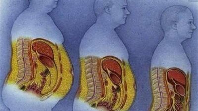 خبراء: الأطعمة التي تحتوي على البروتين تخلصك من الدهون