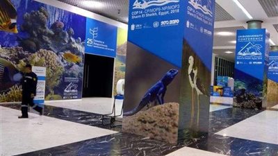 8 معلومات عن مركز المؤتمرات بشرم الشيخ للقمة 