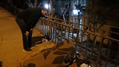 الزواج من بنت الحلال.. حلم عجوز سبعيني بميدان رمسيس