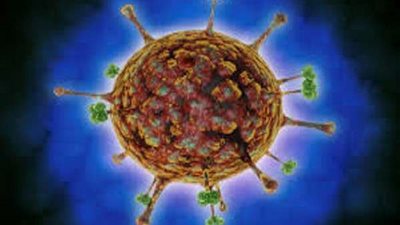 تحذير خطير.. 