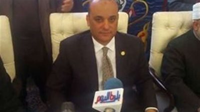 نواب الشرابية يدعمون السيسي: «التصويت والمشاركة» هي الحل