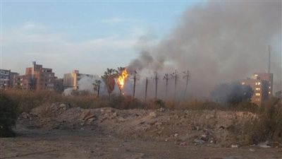 بالصور.. السيطرة على حريق ضخم بحديقة الإذاعة والتليفزيون بالإسماعيلية