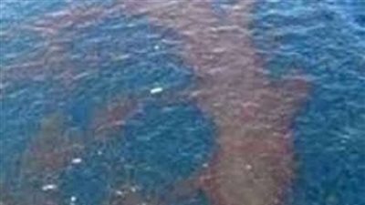 'الري': تشتيت بقعة زيت في بحيرة ناصر بجوار ميناء السد العالي