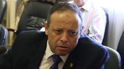 برلماني: نجاح السيسي بالماراثون الرئاسي يعني مزيد من الاستقرار