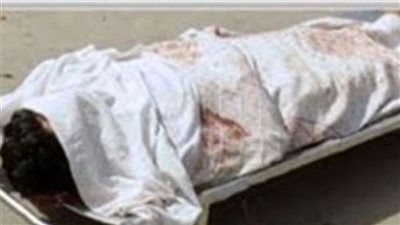 مصرع وإصابة 3 بقرية البرامون بـ«المنصورة»