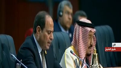 الرئيس السيسي يطالب الحكومة بالتحرك لبحث أسباب حادث محطة مصر