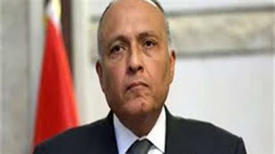 سامح شكري يتابع العملية الانتخابية بالخارج