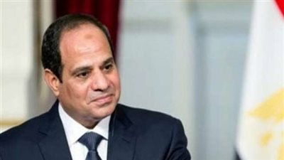 السيسي: المصريون يتميزون بالقدرة على الاستيعاب والذكاء