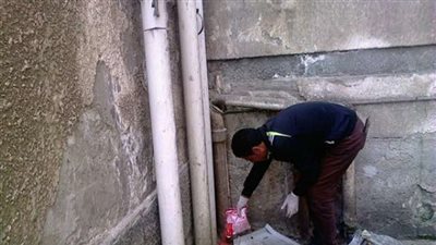 بالصور.. استكمال تطويرالأحياء في بورسعيد