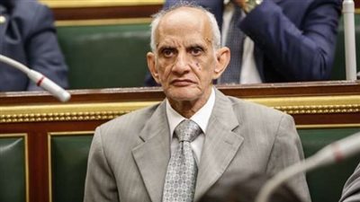 «خلف الله»: النواب في مهمة وطنية لحشد المواطنين بالانتخابات