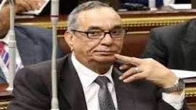 «دفاع البرلمان»: الدستور لا يسمح بمصادرة أموال أسر الإرهابيين