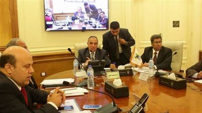 بالصور.. وزير التنمية المحلية يتابع سير العملية الانتخابية في سيناء