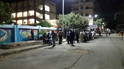 بالصور..احتفال الناخبين بالأعلام أمام لجان الشيخ زايد