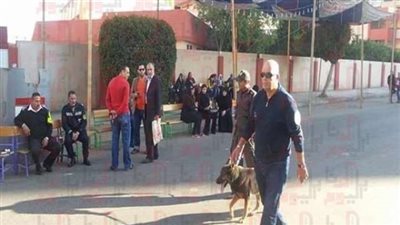 بدء توافد المواطنين على لجان الانتخابات ببورسعيد