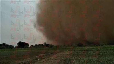 بالصور..موجة من الطقس السيء في الوادي الجديد