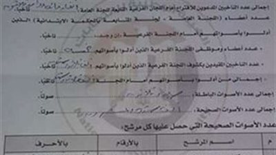 2764 صوتًا للسيسي مقابل 86 لموسى بلجنة بيبان في البحيرة