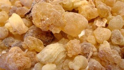 من بينها السعال والغازات.. فوائد تناول لبان الذكر