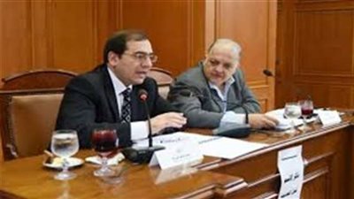 الإثنين.. منافشة طلبات إحاطة النواب بشأن مخالفات شركات الكهرباء