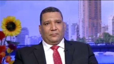 التموين: الأسرة المصرية تستطيع تدبر كامل احتياجاتها بداية من 10 مايو المقبل..(فيديو)