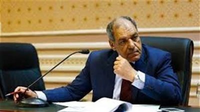 «برلمانى»: البرلمان لم يناقش رفع الدعم عن الكهرباء حتى الوقت الحالي