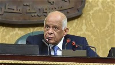 البرلمان يحسم الموافقة النهائية لـ« التحفظ على أموال الإخوان»