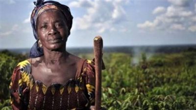 «مصر وإفريقيا».. «الزراعة» تسعى لترسيخ العلاقات مع القارة السمراء بالإنجازات المشتركة