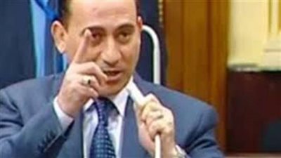 «برلمانى»: يطاب الدول العربية ومجلس الأمن بمساندة القضية الفلسطينية