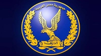 وزير الداخلية: إبعاد مواطن روسي الجنسية لأسباب تتعلق بالصالح العام