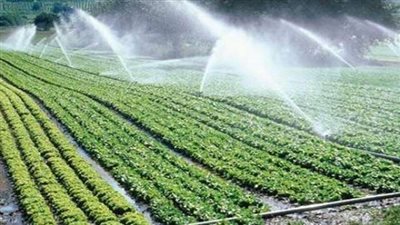 خبير ري: استخدام تقنية الغمر الحديث الحل الأمثل لترشيد المياه