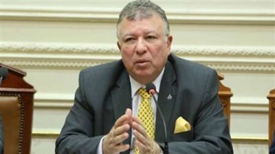 «حماية المستهلك»: نحتاج لـ 29 مليون جنيه لفتح 9 أفرع جديدة