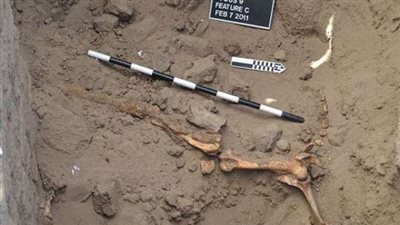 «أنثى حصان» في السودان تكشف أسرار تاريخية