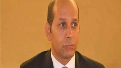 ناشط مصري يحرج المشاركين في ندوة إخوانية بجنيف