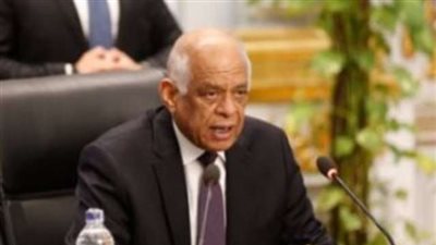 عبدالعال يشيد بفعاليات مجموعة رفيعة المستوى لمكافحة الإرهاب