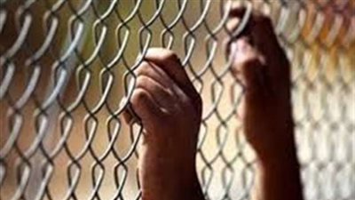 حبس سنة لعصام سلطان بتهمة تعطيل سير الجلسة في «فض رابعة»