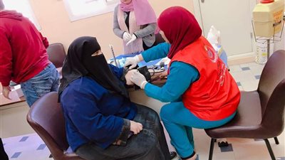 لجان مبادرة 100 مليون صحة تستقبل طلاب 