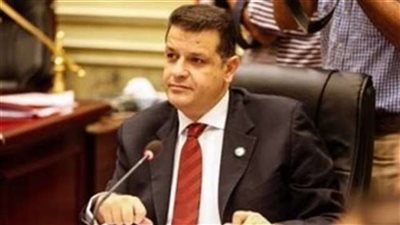 وفد «خارجية البرلمان» يتوجه لكوري الجنوبية لتوطيد العلاقات بين البلدين