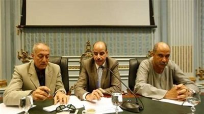 'زراعة البرلمان': نحتاج 3.4 مليون طن أرز  لتحقيق الأكتفاء الذاتى