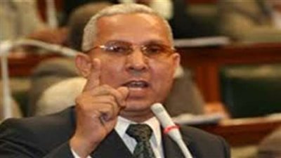 جمال زهران: أغلب قوانين البرلمان تخدم الحكومة وليس المواطنين