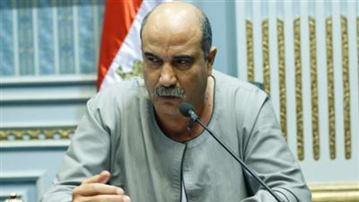 'زراعة البرلمان': تطالب السيسي بأن يكون الفلاح على رأس أولوياته