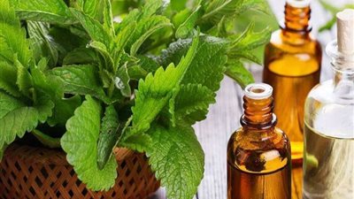 ماذا يحدث إذا تناولت زيت النعناع بهذه الجرعات يوميا