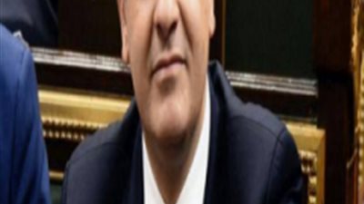 غدًا.. ”خارجية البرلمان” تستكمل اجتماعها الثاني لمناقشة قضية مريم