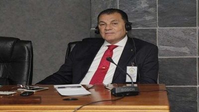 باشات: أمريكا تقود حملة ممنهجة لتشويه مصر