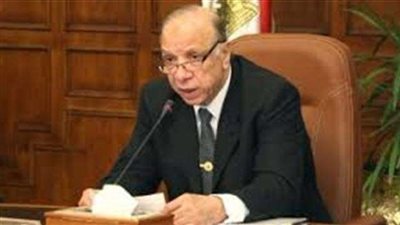 محافظ القاهرة يطالب برفع درجة الاستعداد القصوى في العيد